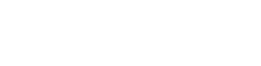 logo_ff